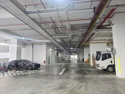 Ct Foodnex (D25), Factory #613756291